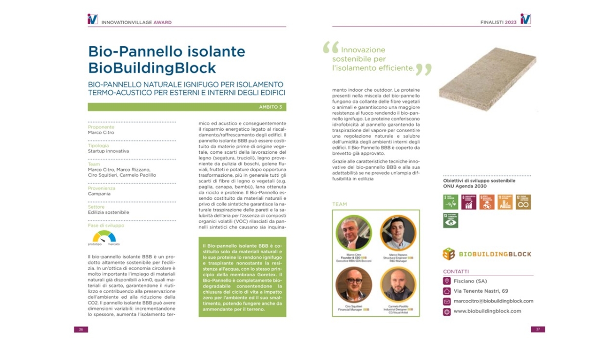 Innovation Village Award